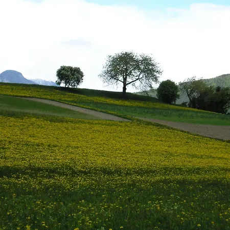 Zangerlechnhof *